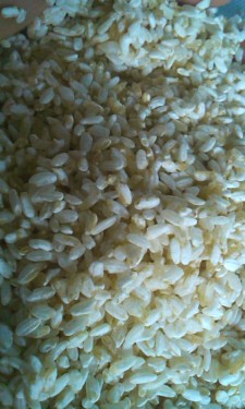 有機玄米麹