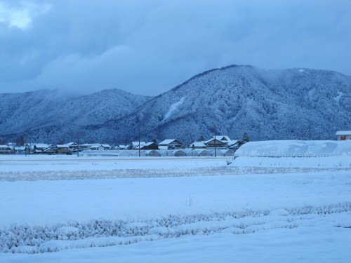 福井の雪化粧された田園風景