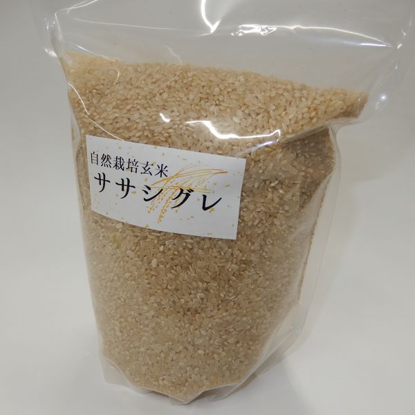 食品 自然栽培 玄米 23KG 2022年産 コシヒカリ | www.ubseducation.in