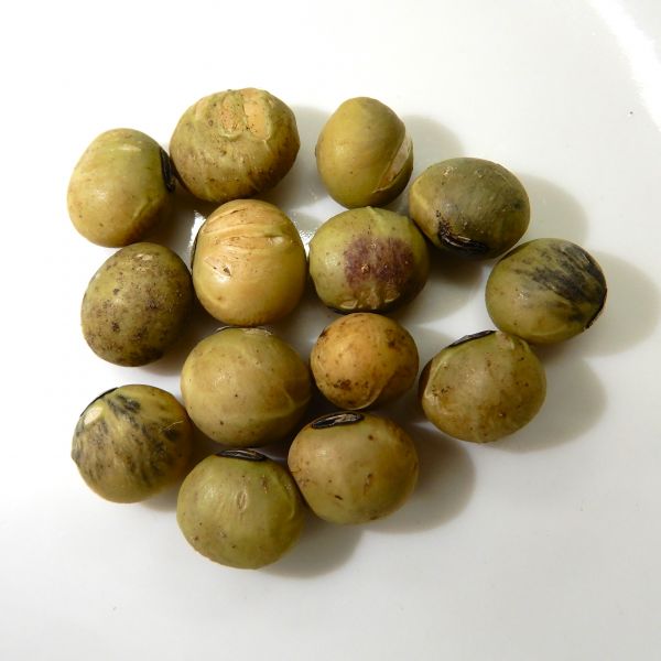 大豆の磨き作業を行っていないため、大豆表面に汚れがあります。また一部に紫斑病の大豆もありますが、品質に問題はございません。