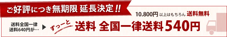 今だけ送料540円