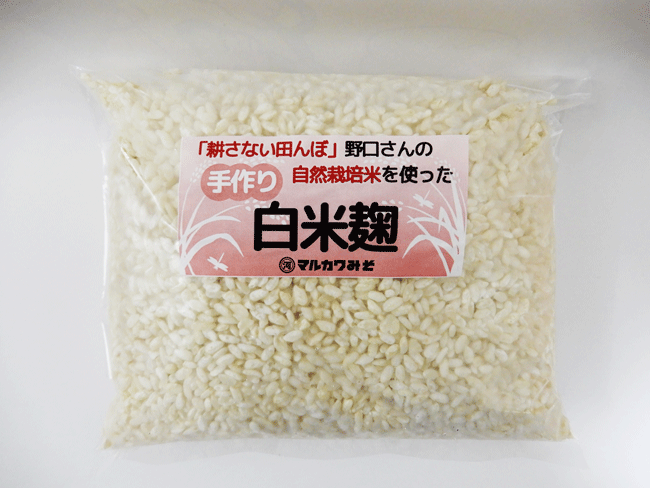 【数量限定】「耕さない田んぼ」野口さんの手作り白米麹　販売開始のお知らせ