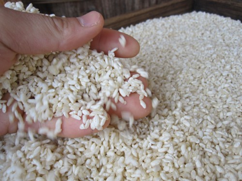 成沢さんの自然栽培のお米は麹に使う