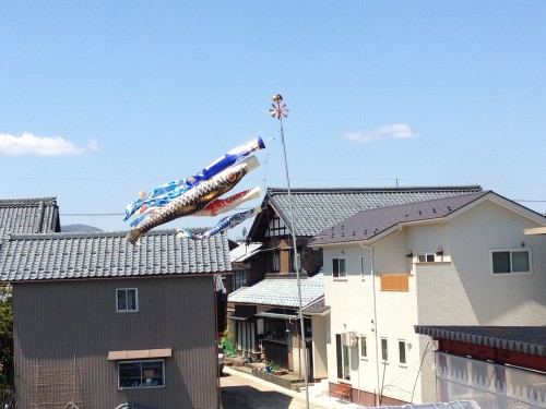 屋根より高い鯉のぼり マルカワみそのスタッフブログ