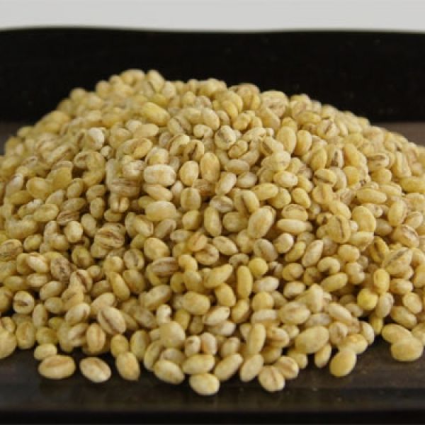農薬・化学肥料不使用の麦麹