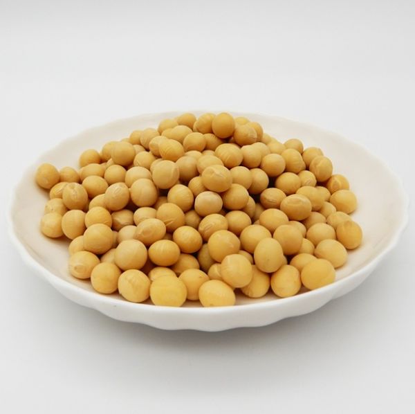 2025年北海道産(ユキホマレ)