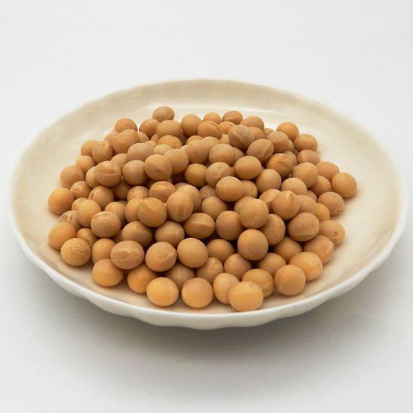 2025年宮城県産(ミヤギシロメ)