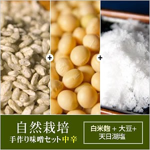自然栽培 手作り味噌セット(中辛) 白米麹