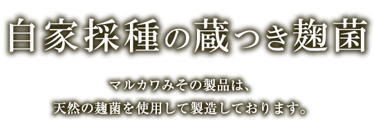 越前有機味噌蔵 マルカワみそ 越前有機味噌蔵 マルカワみそ