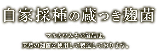 越前有機味噌蔵 マルカワみそ