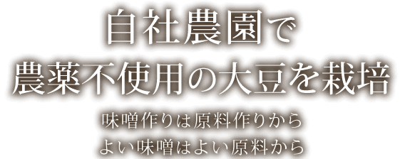 越前有機味噌蔵 マルカワみそ 越前有機味噌蔵 マルカワみそ