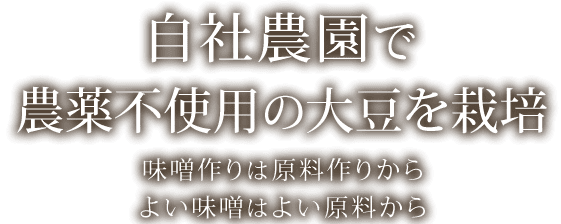 土づくりからはじめる味噌作り