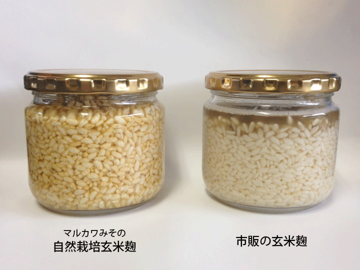 新しい季節 発芽玄米麹スティック いつでもおいしくバランスチャージ materialworldblog.com