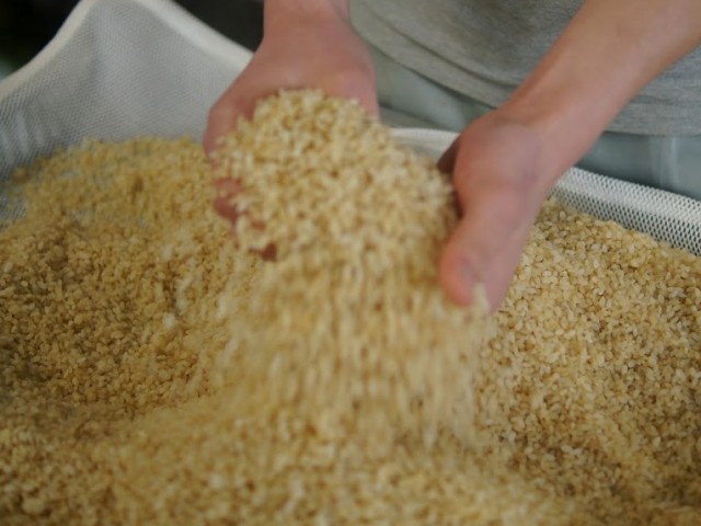 有機玄米生麹
