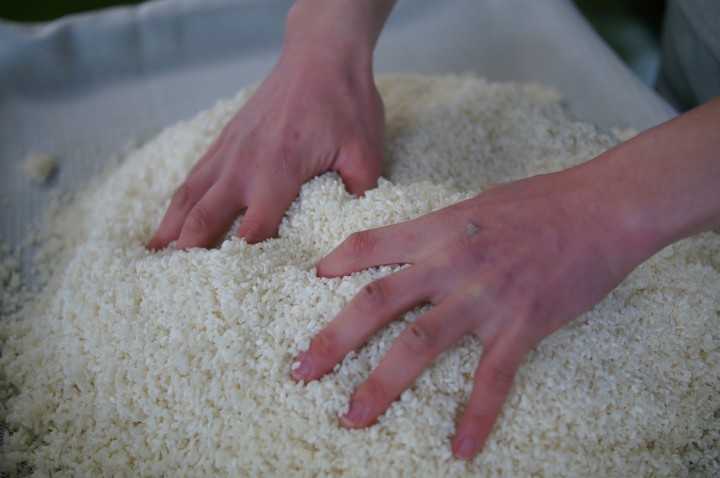 味噌作りの現場から感じた自然栽培のお米の特徴